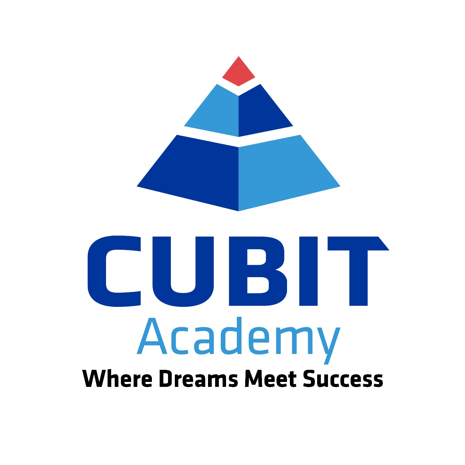 Logo 1